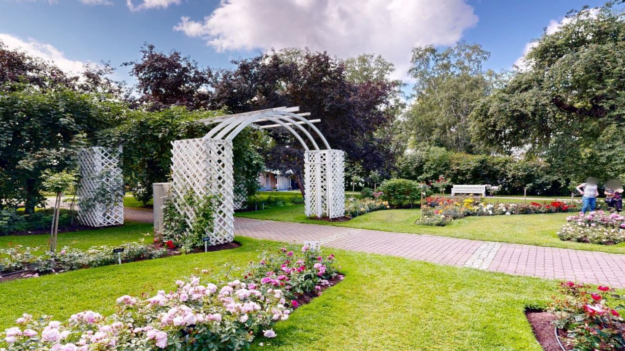 arboretum